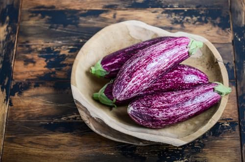 100 Samen Aubergine Tsakoniki Gemüse Eggplant Seeds Garten Pflanzen Beet