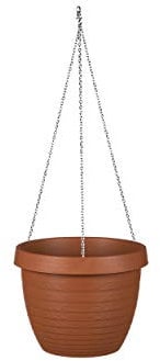 Scheurich Hängeampel 'Country Star', terrakotta, ca. 19 x Ø 24 cm