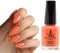 Vivien Kondor Nail Polish Vegan Friendly Nail Polish with Argan Oil from Morocco (Coral)