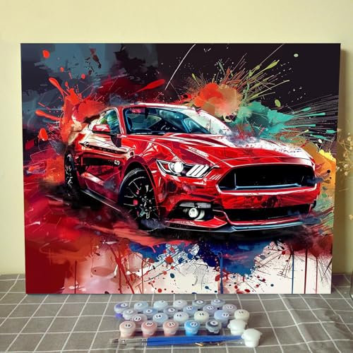 Tucocoo Peinture par Numéros Adulte - Voiture Rouge DIY - Kit de Peinture Acrylique sur Toile - Style Graffiti Art Ferme - 50.8x40.6cm / 40.6x50.8cm