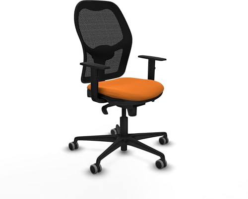 Piqueras y Crespo Ergonomischer Stuhl mit 1D-Armlehnen, fester Rückenlehne und Lendenwirbelstütze 1D, ideal für 8 Stunden Nutzung und Maximalgewicht von 120 kg, für Damen und Sekretärinnen