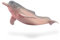 Collecta Delfin des Amazonas – Sammelfigur – Größe M – (Deqube 90188994), Rose