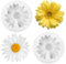 Ymapinc 2 Stück 3D Gänseblümchen Silikonform Blumen Kerzen Silikonform Transparentes Weiß Silikonformen Gießformen für Tortendekoration Heimdekor DIY Kerzenherstellung Clay Harz