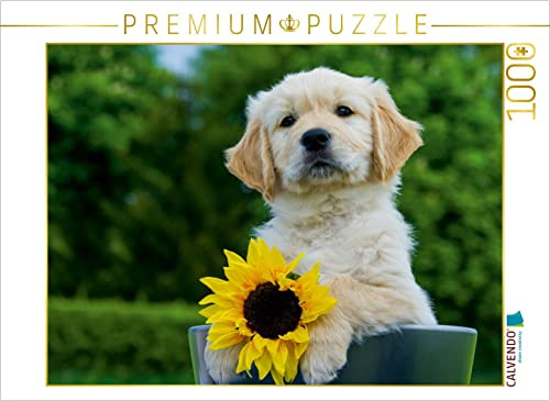 CALVENDO Puzzle Golden Retriever | 1000 Teile Lege-Größe 64 x 48 cm Foto-Puzzle für glückliche Stunden
