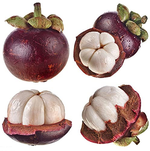 20 Stück mangostan frucht Mangostane samen seltene pflanzen für balkonkästen winterhart büropflanzen pflanzendeko bäume kaufen samen geschenk frisches obst gardening