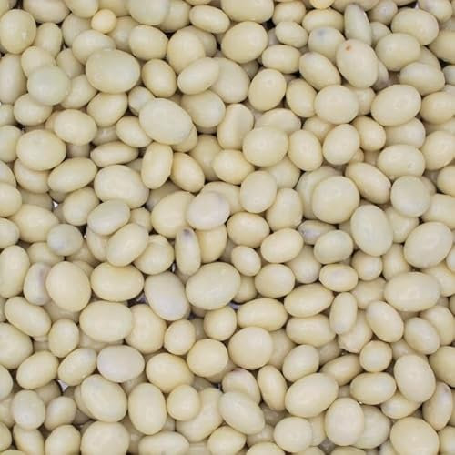 Yogurt Raisins 1kg Sweet Pouch