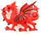 Puckator Welsh Dragon - Fridge Magnets - Fantasy Decorative Home Accessories - Strong Magnet - Brittish gifts - Magnetic Toys - Office Supplies - Whiteboard Magnets