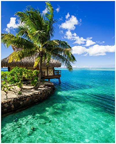 Wallario Poster - Karibisches Meer Einsame Hütte unter Palmen in Premiumqualität, Größe: 40 x 50 cm