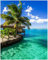Wallario Poster - Karibisches Meer Einsame Hütte unter Palmen in Premiumqualität, Größe: 40 x 50 cm