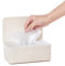 DXIA Tissue Box Case, Baby Nappy Wet Wipes Dispenser, Tissue Storage Box Case with Lid Dustproof, Large Tissue Storage Box Nappy Wipes Case with Lid, Keeps Wipes Fresh for Home Office Desk