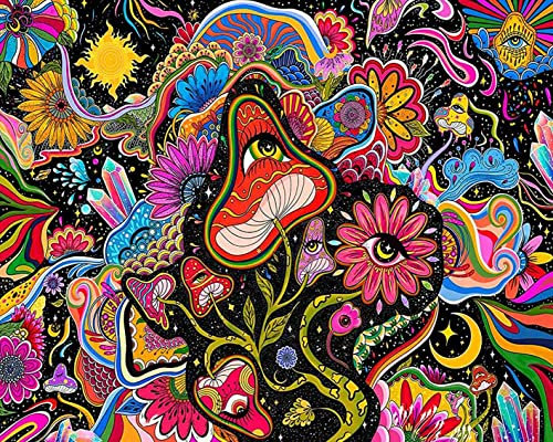 Peinture par Numéros pour Adultes, Abstraite pour Adultes Peinture par Numéros, Fleurs et d’yeux Peinture par Numéros, Peinture par Numéros, Cadeau de Kits de Peinture Sans Flamme de 16X20 Pouces