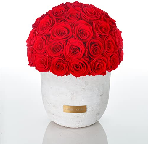 Solid Infinity Collection - Traumhafte Infinity Rosen, 1-3 Jahre haltbare Rosen, Betonvase mit echten, konservierten Rosen, edle Premiumrosen - Größe L (Vibrant Red)
