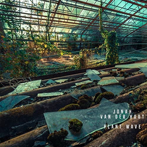 Plant Wave