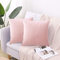 CXTAI Kissenbezug 50x50 cm (2er Set Samt) Kissenbezüge Sofakissen Dekokissen Kissenhülle Zierkissen - Rosa