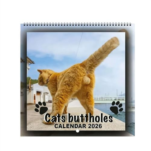 2026 Cat Ball Kalender – 12 monatlicher Wandkalender, Baby Big Cat Thema mit verspielten Fotos, geräumiger Platz zum Organisieren, Geschenke für Liebhaber, Zuhause/Büro
