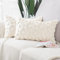 Madizz 2er Set Sanft Plüsch Kurze Wolle Samt Dekorativ Zierkissenbezüge Luxus Stil Kissenbezug für Sofa für Schlafzimmer Beige 30x50 cm Rechteckig