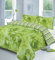 HOMES-LINEN Rose Floral Reversible Stripes Duvet Cover Set Easy Care Printed Bedding Set (Lime Green, Single)