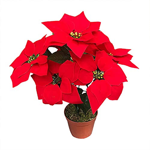 2 Stück künstliche Weihnachtssterne Topfpflanze, künstliches Weihnachtsstern-Arrangement, künstliche Weihnachtssterne Pflanze Weihnachtsblumen Dekorationen für Zuhause Weihnachtsdekoration