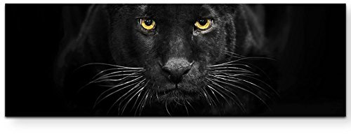Eau Zone Wandbild auf Leinwand 120x40cm schwarzer Panther