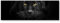 Eau Zone Wandbild auf Leinwand 120x40cm schwarzer Panther