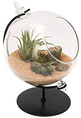 Panacea 82149 Desktop Glass Terrarium with Metal Stand, 4 Dia