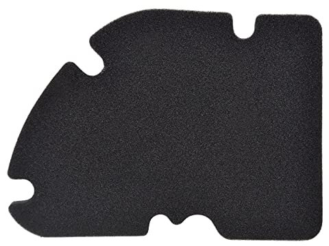 AHL Motocicletta Filtro Aria compatibile con PIAGGIO VESPA GTS 300/ VESPA GTS Super 300/ VESPA GTS Super Sport 300/ VESPA GTV 300