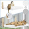 KAIMERCE Hamaca Gato Ventana - Cama Gato de Madera Plegable con Manta Reversible Invierno/Verano - Hamaca Gatos Ventana con 4 Ventosas - Cama Ventana para Gatos Cómoda y Duradera