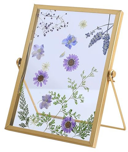 Hshenjhu Marco de Fotos de Doble Cristal, 20x15 cm Marco de Fotos de Vidrio en Relieve de Flores Secas, Marco de Fotos de Metal, para Plantas de Flores Secas, Fotos, Pinturas, Decoración de Pared