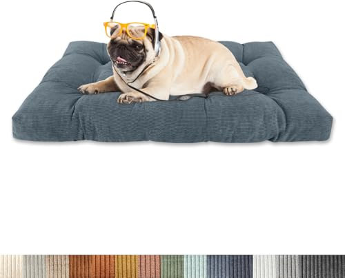 Lsjoaw Orthopädisches Hundebett 75x50x8cm Cordstoff Dog Bed Kleine Hundesofa Plüsch Hundekissen Grosse Hunde Hundecouch rutschfest Unterseite Mittelgroße Hundekörbchen Hellgraublau