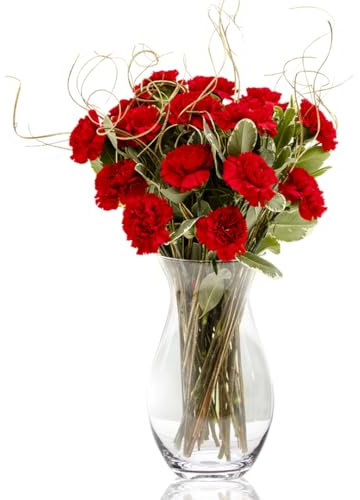 Sendabunch Luxury Red Carnation Bouquet with Free Box of Belgian Chocolates - 18 Fresh Stems with Seasonal Greenery, Message Card - UK Flower Delivery for Valentines Day, Birthdays & Special Occasions