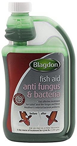 Blagdon Fast Acting Anti-Fungus & Bacteria Water Treatment for All Pond Fish, Finrot, Mouthrot, External Bacterial Infections, Wildlife & Fish Safe, 500 ml