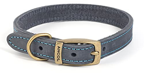 Ancol Timberwolf Premium Leather Dog Collar - Comfortable Durable Pet Training Accessory - Blue Bridle Leather - Soft Supple Waterproof Treated - 20-26cm Size 1
