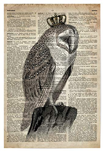 artboxONE Poster 30x20 cm Tiere Königin Schleiereule hochwertiger Design Kunstdruck - Bild Eule Eule königin
