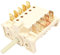DeLonghi selector de horno principal