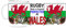 Rugby Perfected in Wales.11oz Ceramic Gift Mug Featuring Emblem Welsh Rugby Fan Sport Gift