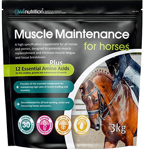 GWF Nutrition Muscle Maintenance For Horses Pouch 3 kg