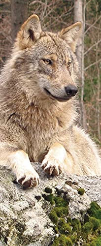 A.Monamour Türtapete Selbstklebend Türfolie Türposter 3D EIN Wolf Ruht Im Wald Vinyl Folie Türdeko Tapete Wandbild Türaufkleber Türtattoo 77 x 200 cm