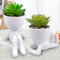 ODIWEN 2Pcs Plantas Suculentas Artificiales, Planta Artificial Decorativa, Pequeñas Plantas Artificiales, Plantas Decoración Suculentas, Mini Plantas Falsas de Plástico, Plantas Artificiales Pequeñas