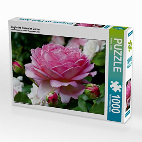 CALVENDO Puzzle Englische Rosen im Garten | 1000 Teile Lege-Größe 64 x 48 cm Foto-Puzzle für glückliche Stunden