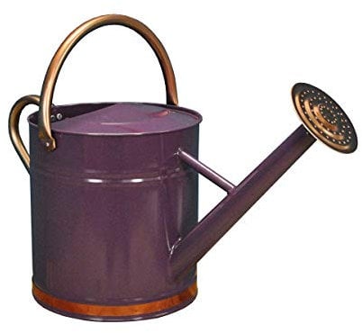 Purple Heather & Copper Metal Watering Can with Rose (9 Litre)