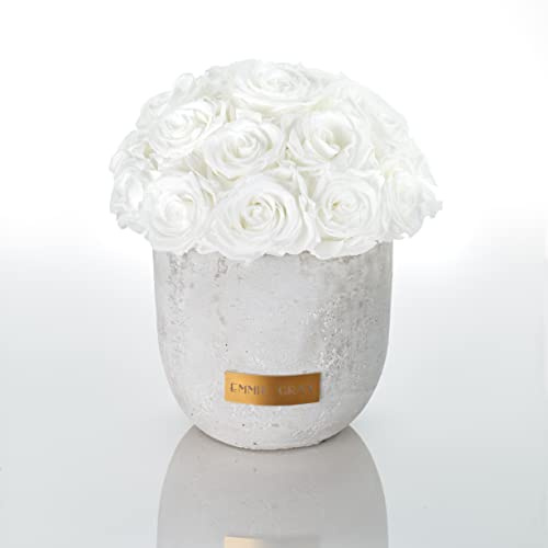 Solid Infinity Collection - Traumhafte Infinity Rosen, 1-3 Jahre haltbare Rosen, Betonvase mit echten, konservierten Rosen, edle Premiumrosen - Größe M (Pure White)