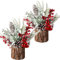 Hatisan Kleiner Weihnachtsbaum mit Weihnachtsschmuck, Tannenzapfen, Beere, künstlicher Tisch-Weihnachtsbaum für Weihnachtsdekorationen, Zuhause, Zimmer, Party, Winter, drinnen und draußen, 2 Stück,