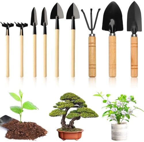 Garden Tools Set, 9PCS Succulent Plants Tools, Mini Garden Tools, Transplanting Gardening Tools Home Tiny Gardening Kit for Small Flower Garden Plants Care