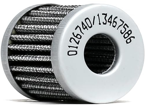STARK SKFF-0870232 Filtro carburante Compatibilità con FIAT PANDA 169 Gas liquefatto (GPL)