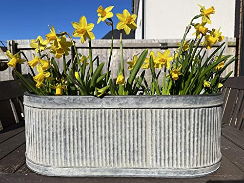 Set of 3 OR Single Galvanised Zinc Ribbed Metal Pots Planters | Round Garden Flower Plant Pot Trough Vintage Antique (Single Medium)