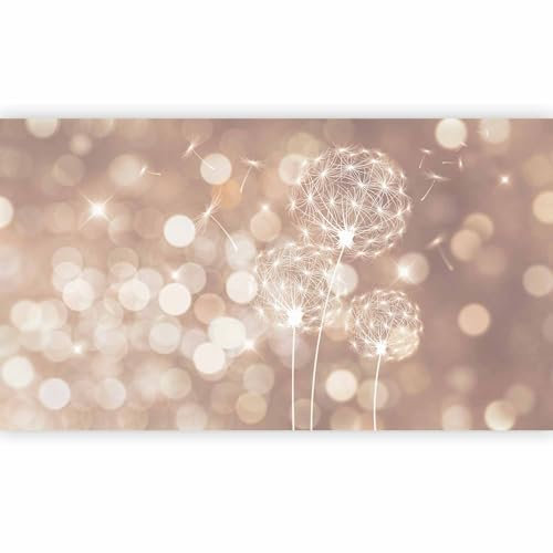 Fototapete - Tapete XXL Pusteblume 500x280 cm - Foto Tapete Schlafzimmer Wohnzimmer Moderne Vliestapete XXL Wandtapete Motivtapeten Bildtapete 3d Effekt Wand Dekoration - Abstrakt Blumen bokeh
