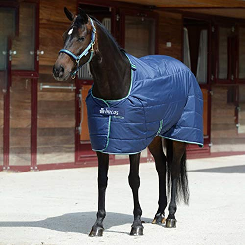 Bucas Unterdecke Quilt Staydry 300gr 155 cm - 155 cm - Dunkelblau