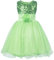 JerrisApparel Principessa Ragazza Fiore Paillettes Festa Matrimonio Vestito (8 Anni, Verde)