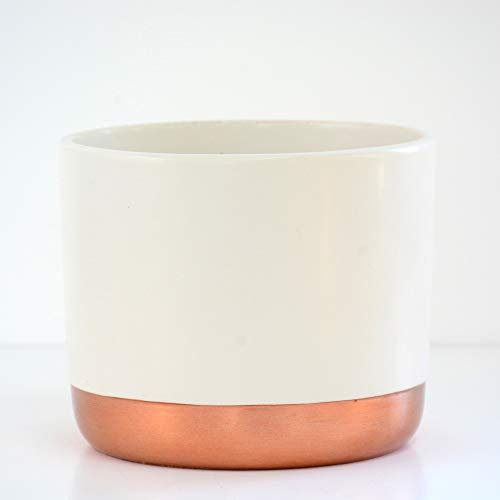 Two-Tone White & Rose Gold Small Ceramic Plant Flower Pot Round Modern Stylish Simple Design for Indoor House Plants Succulents 1 x Small White & Rose Gold Ceramic Pots by Thompson and Morgan