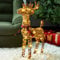 Eambrite Christmas Rattan Reindeer Outdoor Light up Christmas Decorations Battery Operated LED Reindeer for Home and Garden - 63.5cm, Warm White